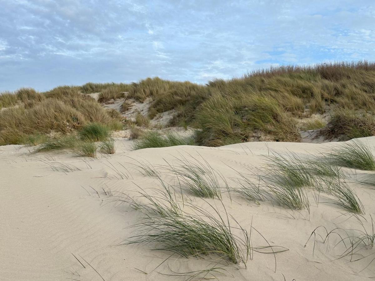Appartement Plage Merlimont 10 Mn Berck Le Touquet Avec Jardin Εξωτερικό φωτογραφία